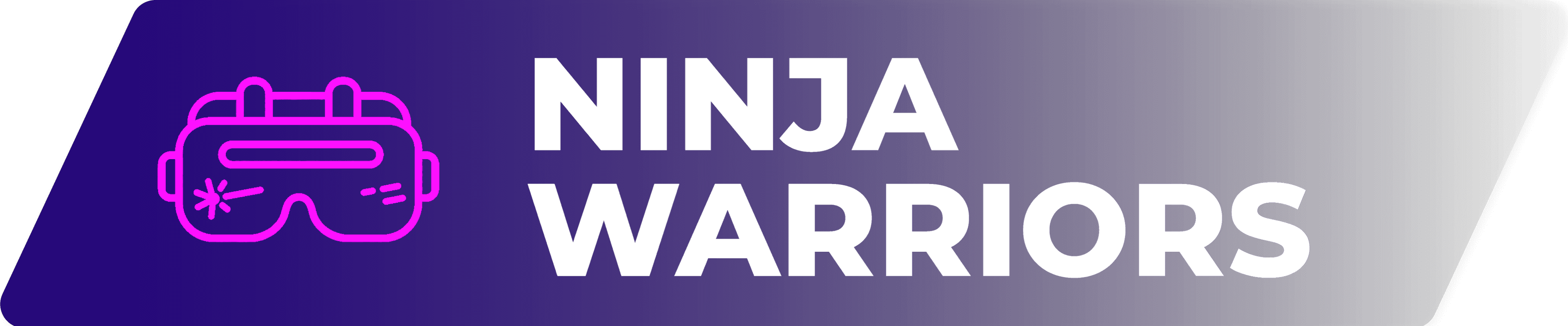 Ninja Warriors